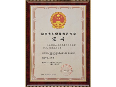 湖南省科學技術進步獎三等獎