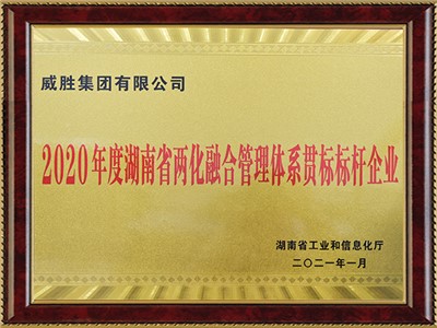 湖南省兩地融合管理體系貫標標桿企業