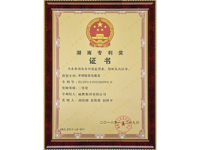 湖南專利二等獎證書（單相鍵盤電能表）