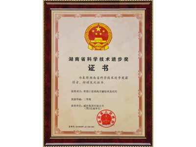 湖南省科學技術進步獎（智能計量系統關鍵技術及應用三等獎）